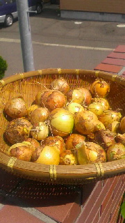 ファイル名: 2015081717370000.jpg
ファイルサイズ: 38.42KB 180(W)×320(H) 38.42