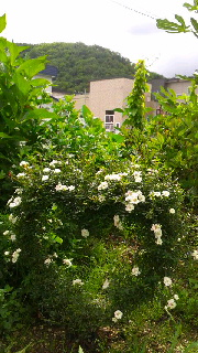 ファイル名: 2015081919150000.jpg
ファイルサイズ: 49.29KB 180(W)×320(H) 49.29