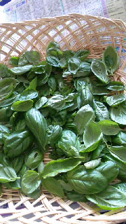 ファイル名: 2015082109030000.jpg
ファイルサイズ: 50.4KB 180(W)×320(H) 50.4