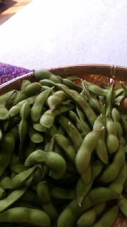 180(W)×320(H) 28.95