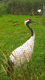 180(W)×320(H) 53.38