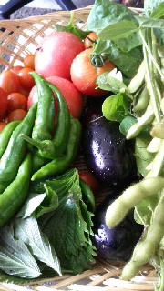 180(W)×320(H) 46.09