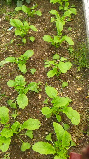 180(W)×320(H) 56.53