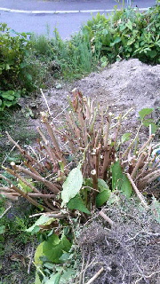 180(W)×320(H) 53.83