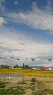 180(W)×320(H) 26.41