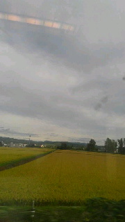 180(W)×320(H) 19.04