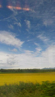 180(W)×320(H) 24.77