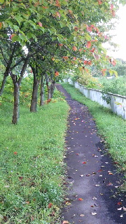 180(W)×320(H) 51.21