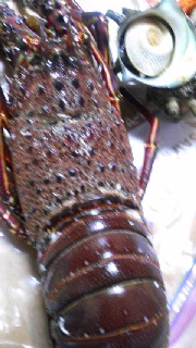 180(W)×320(H) 41.17