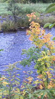 180(W)×320(H) 55.67