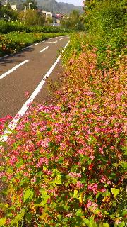 180(W)×320(H) 67.35