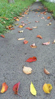 180(W)×320(H) 44.43