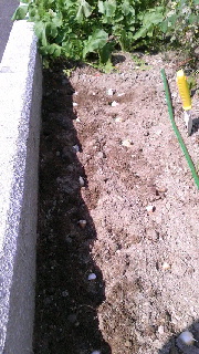 180(W)×320(H) 47.04