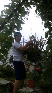 180(W)×320(H) 37.82