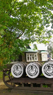 180(W)×320(H) 54.47