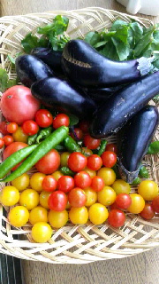 180(W)×320(H) 46.77