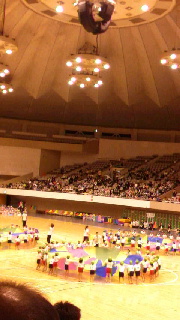 180(W)×320(H) 38.19