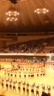 180(W)×320(H) 42.95