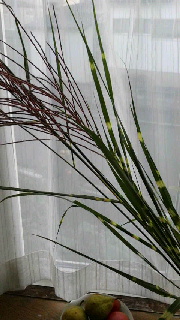 180(W)×320(H) 38.37