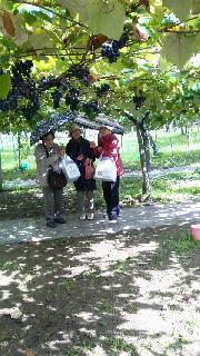 180(W)×320(H) 55.09