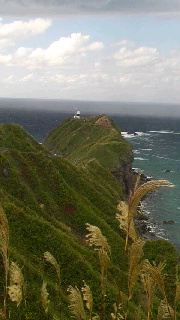 180(W)×320(H) 31.58