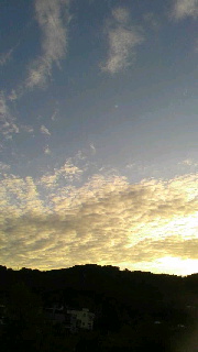 180(W)×320(H) 23.75