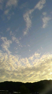 180(W)×320(H) 25.07