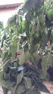 180(W)×320(H) 37.83