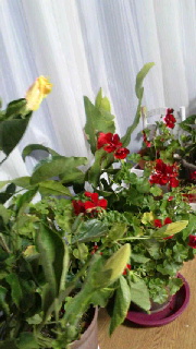 180(W)×320(H) 38.08