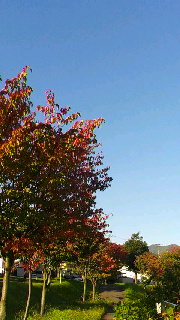 180(W)×320(H) 38.05