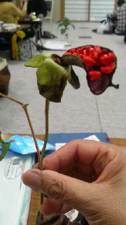 180(W)×320(H) 32.31