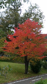 180(W)×320(H) 45.86