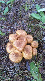 180(W)×320(H) 58.71