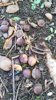 180(W)×320(H) 55.96