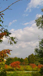 180(W)×320(H) 37.67