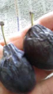 180(W)×320(H) 28.43