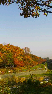 180(W)×320(H) 38.07