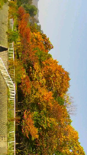 180(W)×320(H) 45.22