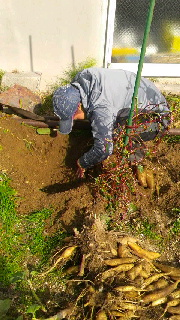 180(W)×320(H) 50.18