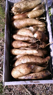 180(W)×320(H) 48.97