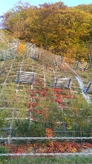 180(W)×320(H) 54.47