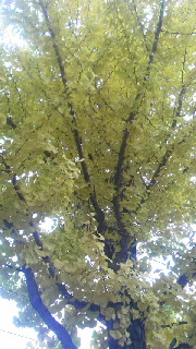 180(W)×320(H) 47.84