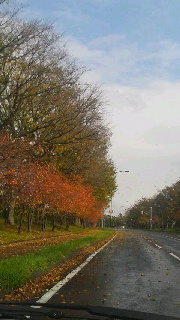 180(W)×320(H) 33.47