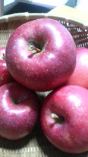 180(W)×320(H) 34.54