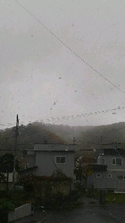 180(W)×320(H) 21.15