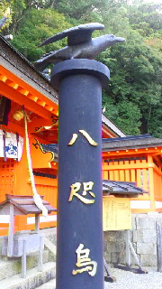 180(W)×320(H) 46.34