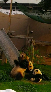 180(W)×320(H) 35.95