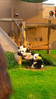 180(W)×320(H) 46.13