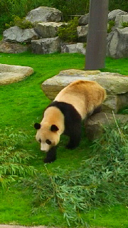 180(W)×320(H) 41.48