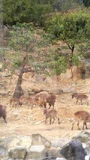 180(W)×320(H) 42.32